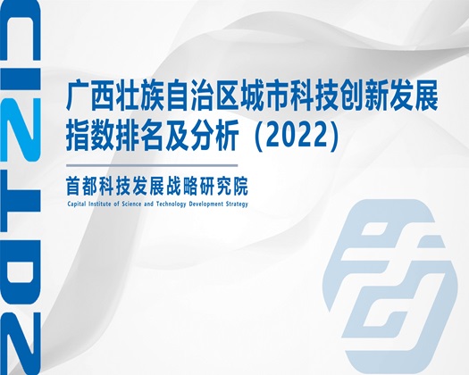 逼爽痒湿【成果发布】广西壮族自治区城市科技创新发展指数排名及分析（2022）